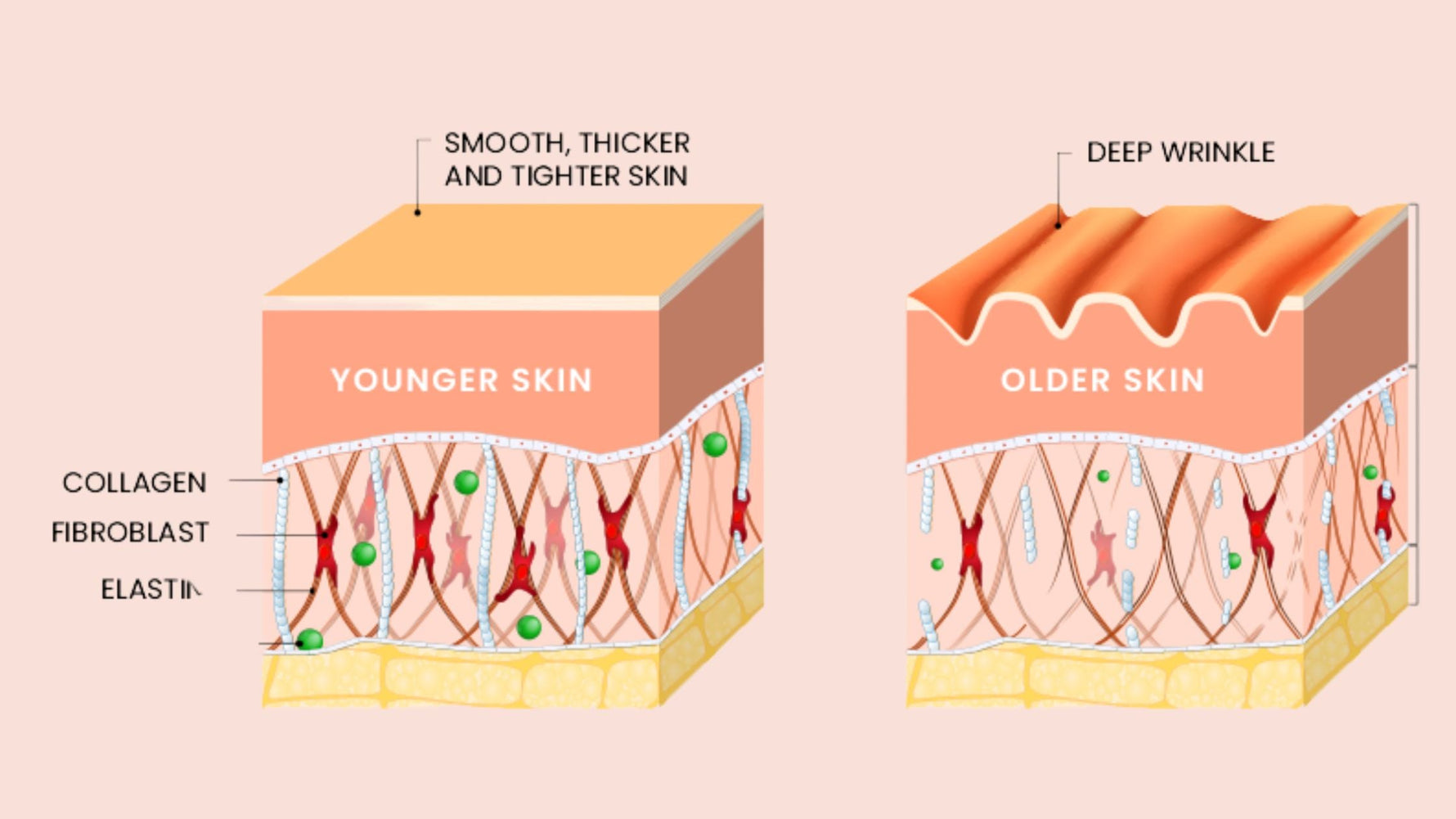 Collageen tekort, dit zijn de symptomen en oorzaken!