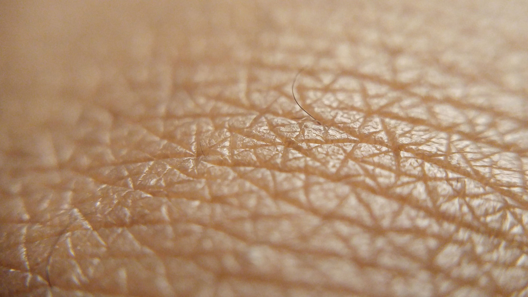 close up van de huid