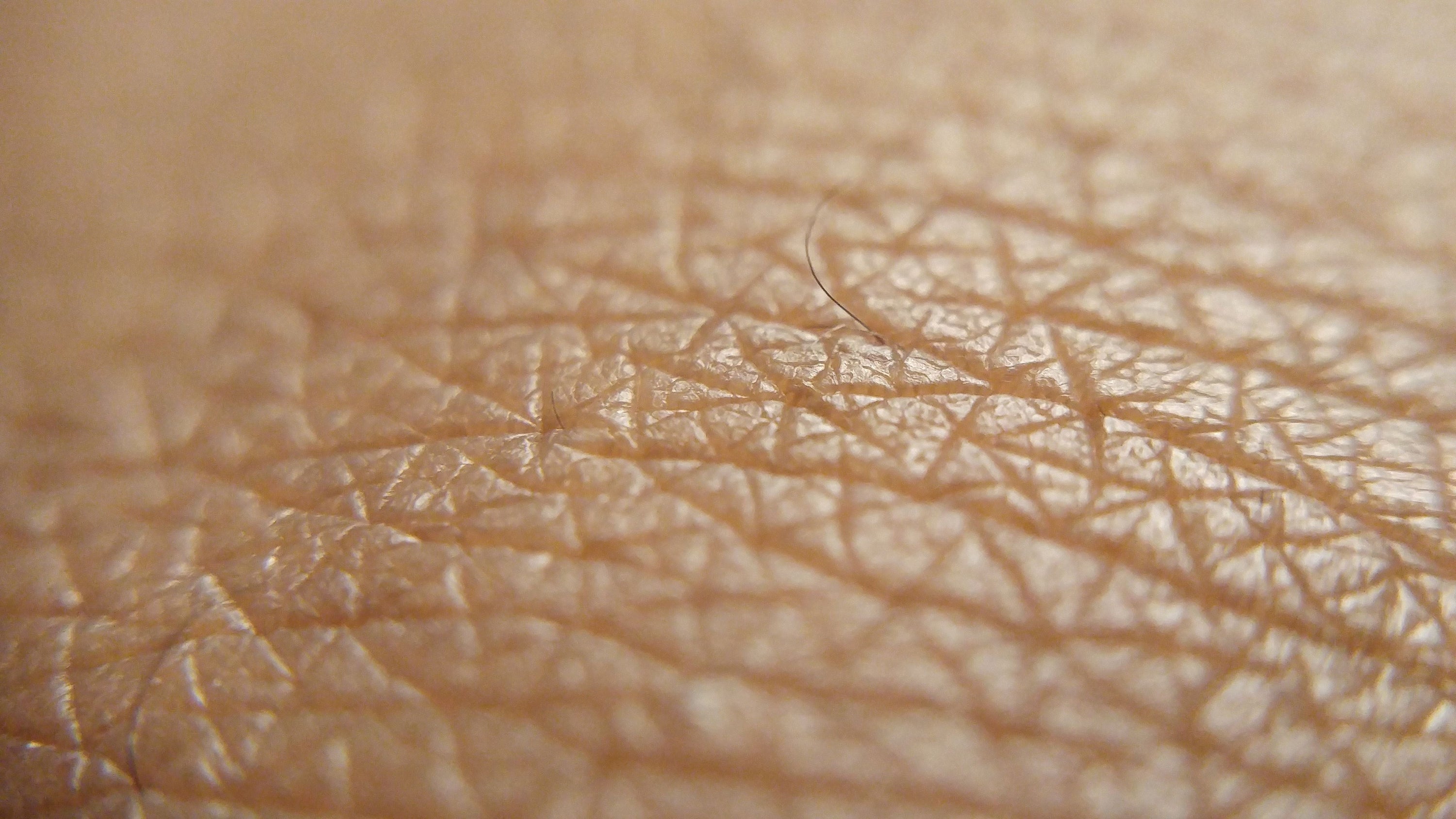 close up van de huid