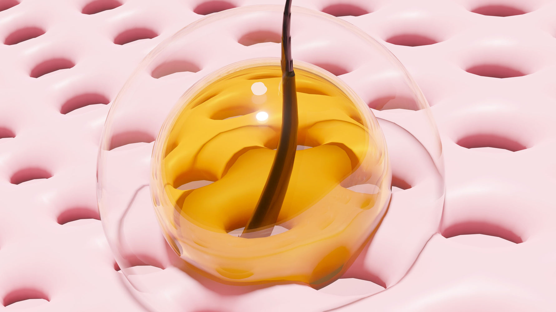 Illustratie van haarfollikel met talg op de hoofdhuid.