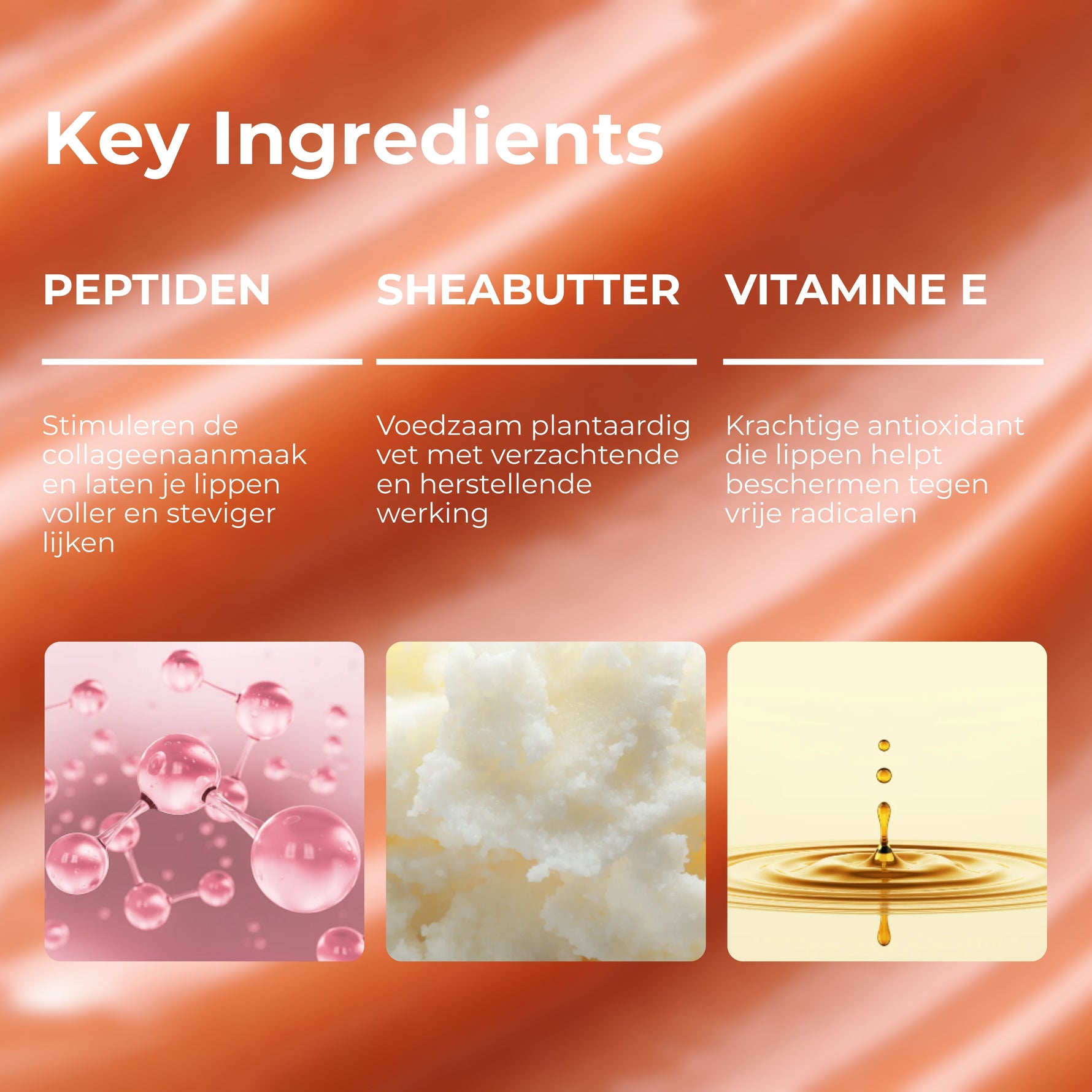 Overzicht van ingrediënten van de Balmy Lip Gloss Nudie van Skin for Skin
